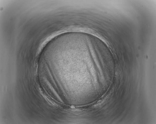 X0000085241507200703231611