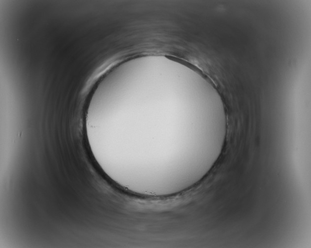X0000085240005200703301757