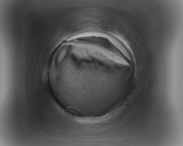 X0000085240009200703301757