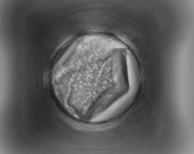 X0000085240010200703301757