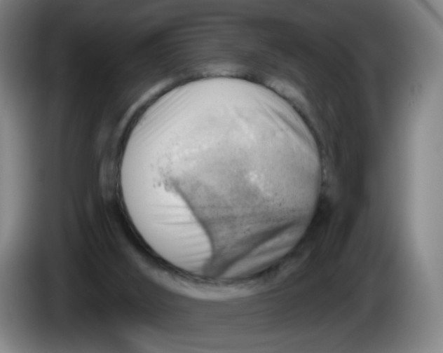 X0000085240012200703301757