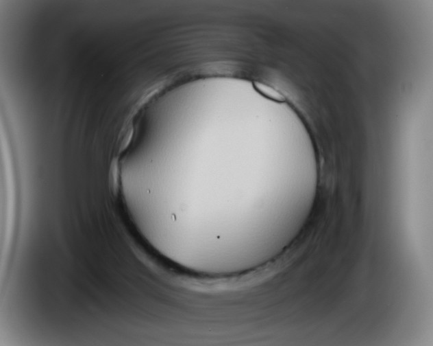 X0000085240013200703301757
