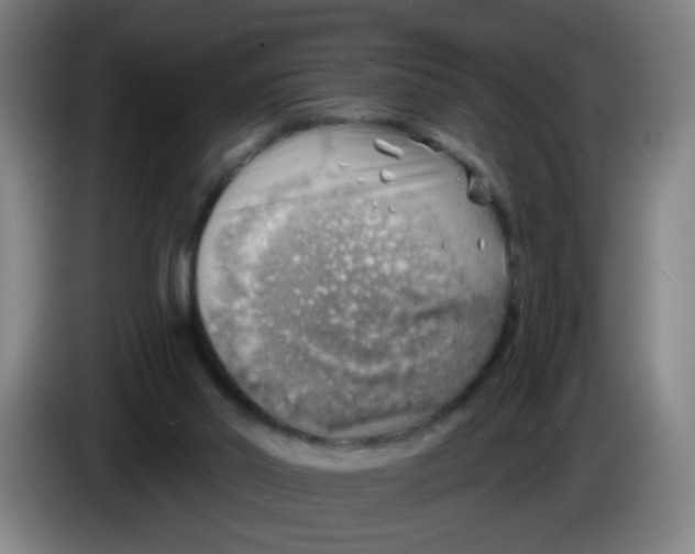 X0000085240014200703301757