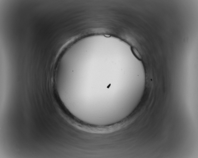 X0000085240015200703301757