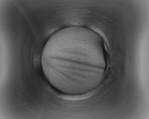 X0000085240017200703301757