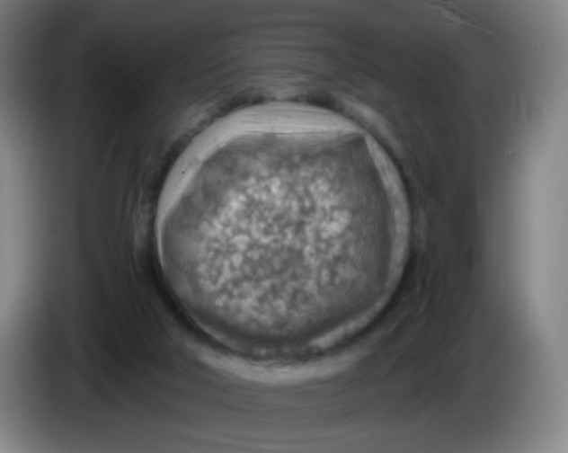 X0000085240018200703301757