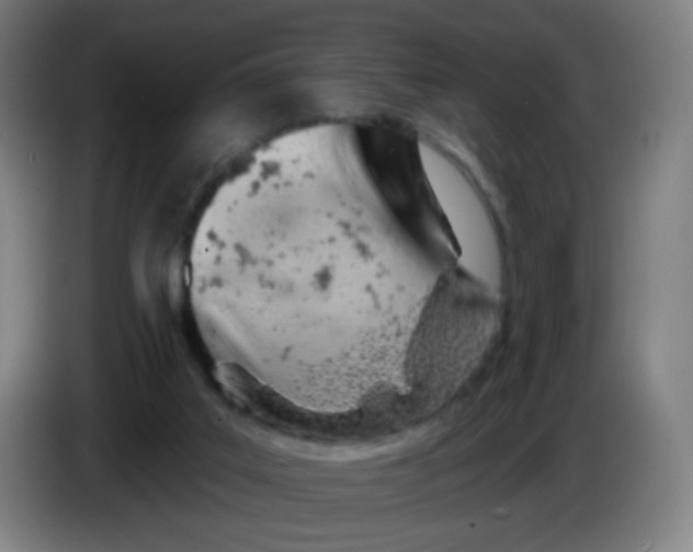 X0000085240019200703301757