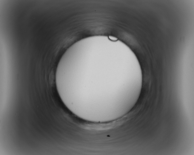 X0000085240025200703301757