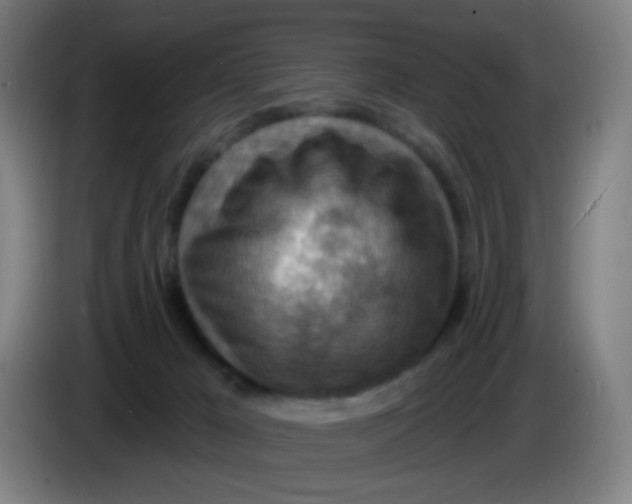 X0000085240029200703301757