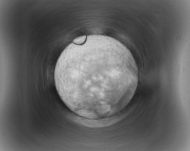 X0000085240030200703301757