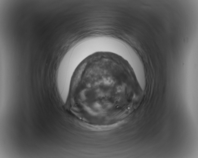X0000085240031200703301757