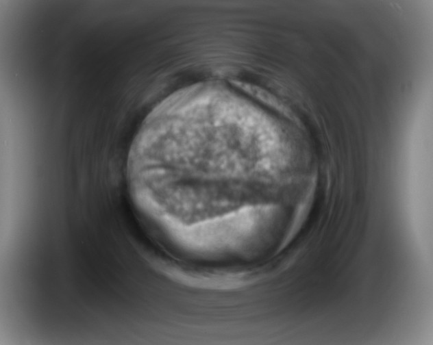 X0000085240032200703301757