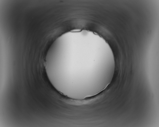 X0000085240037200703301757