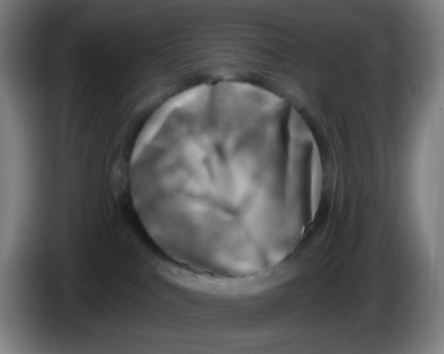 X0000085240043200703301757