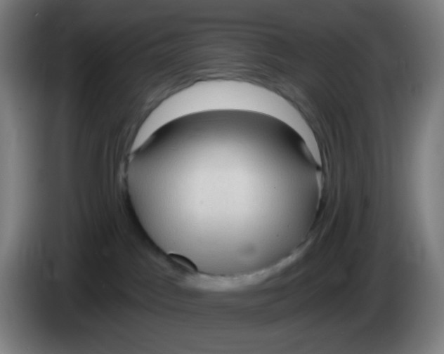 X0000085240045200703301757