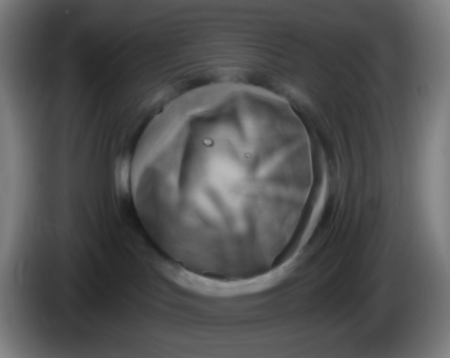 X0000085240047200703301757