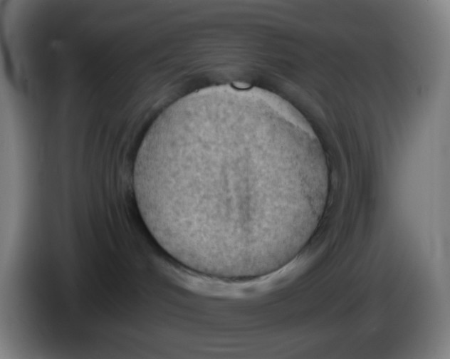 X0000085240048200703301757