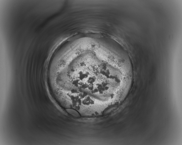 X0000085240049200703301756