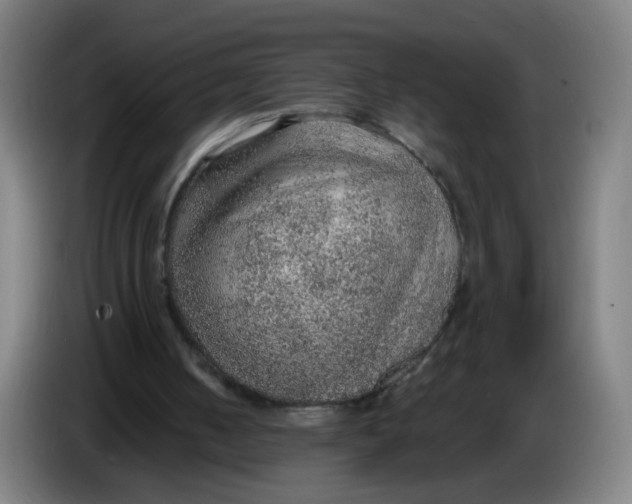 X0000085240050200703301756