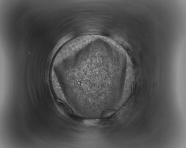 X0000085240051200703301756