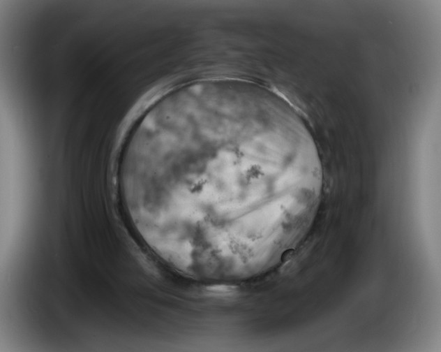 X0000085240053200703301756