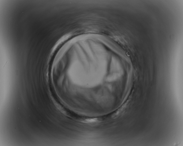 X0000085240054200703301756