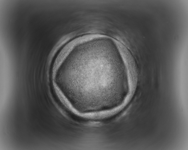 X0000085240055200703301756