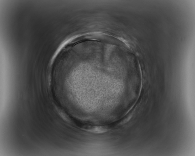 X0000085240056200703301756