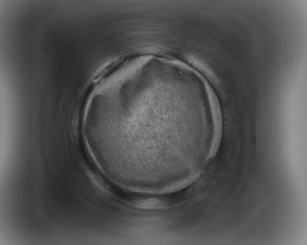 X0000085240058200703301756