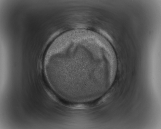 X0000085240059200703301756