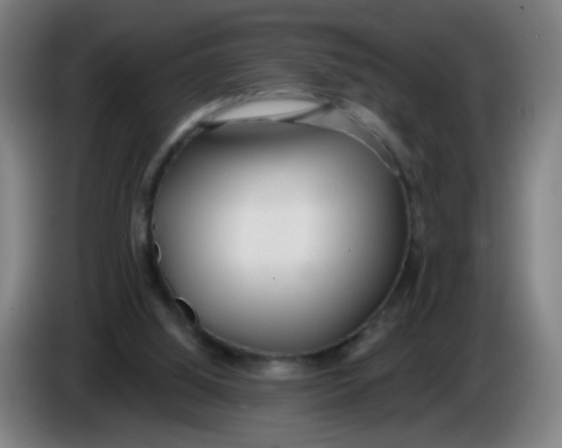 X0000085240060200703301756