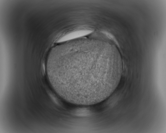X0000085240061200703301756