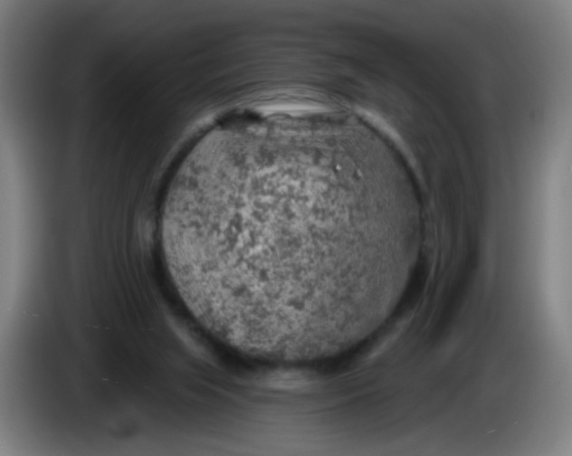 X0000085240063200703301756