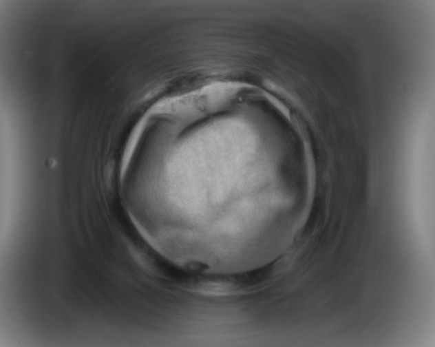 X0000085240066200703301756