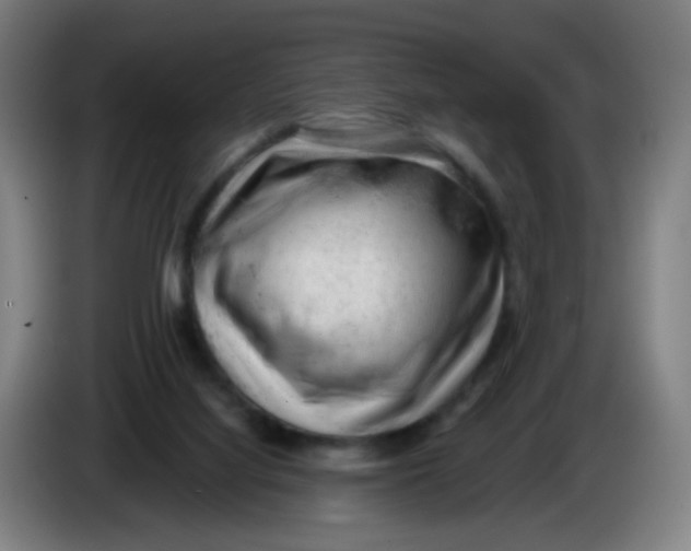 X0000085240068200703301756