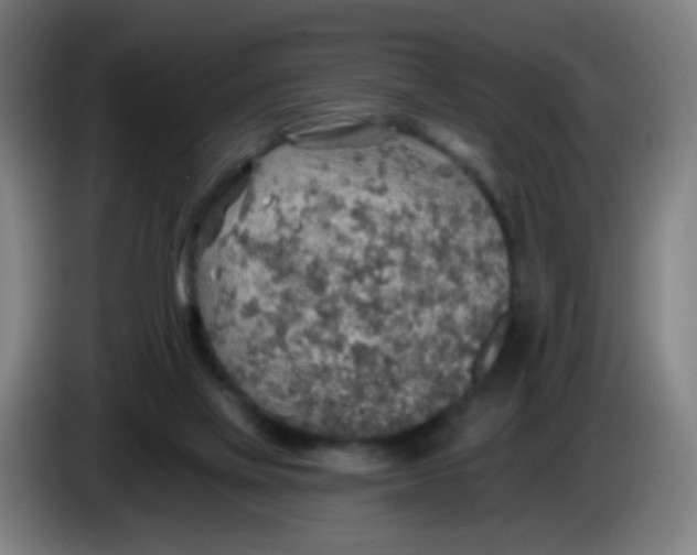 X0000085240069200703301756
