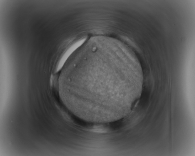 X0000085240070200703301756