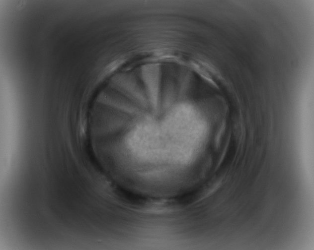 X0000085240072200703301756