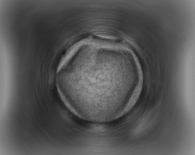 X0000085240073200703301756