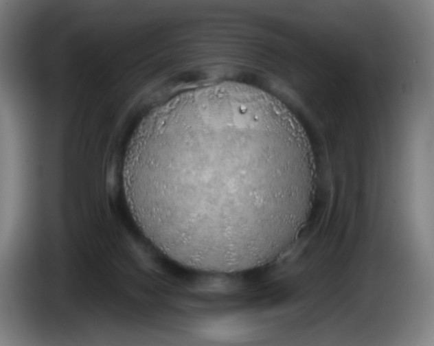 X0000085240074200703301757