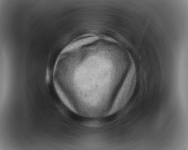 X0000085240075200703301757