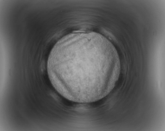 X0000085240077200703301757