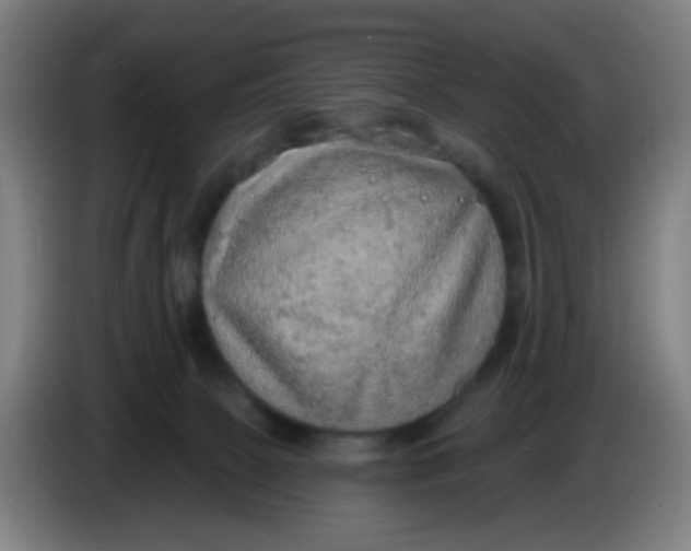 X0000085240081200703301757