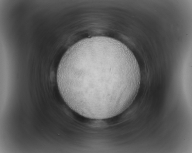 X0000085240087200703301757