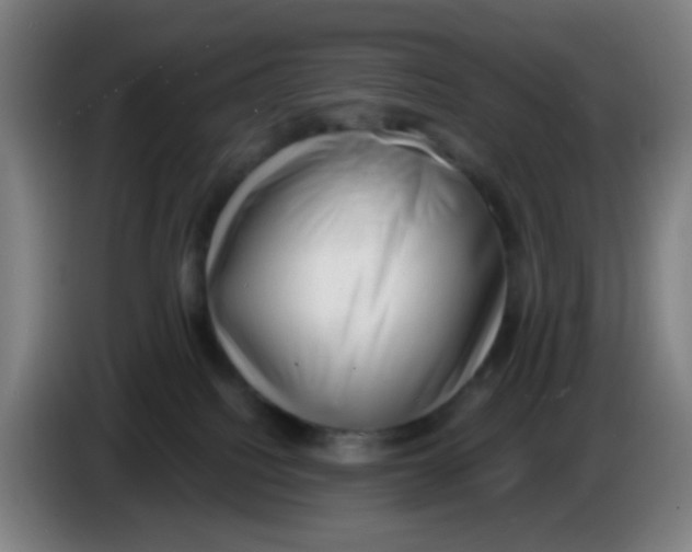 X0000085240088200703301757