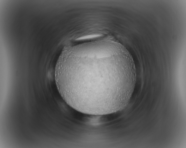 X0000085240090200703301757