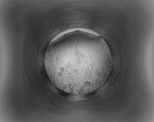 X0000085240093200703301757