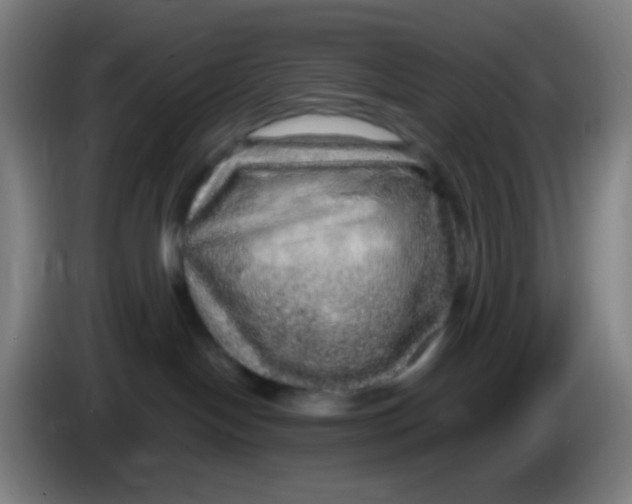 X0000085240094200703301757