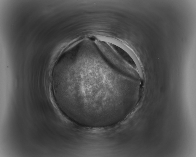 X0000085240097200703301756