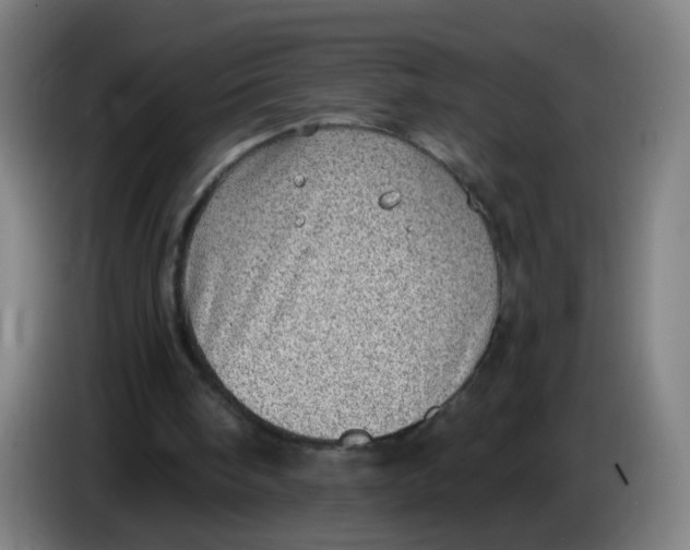 X0000085240098200703301756
